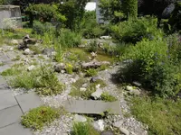 Rutschmann Naturgarten AG