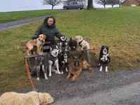 Hundeschule MyBestFriends - Klicken Sie, um das Bild 8 in einer Lightbox vergrössert darzustellen