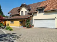 Zolicolor