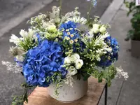 KALIS Fleurs