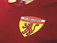 LT-SOLUTIONS.CH | Lukas Treichler