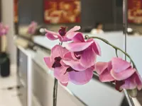 dentalsolutions