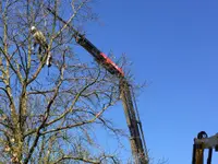 Waldis GmbH - Klicken Sie, um das Bild 4 in einer Lightbox vergrössert darzustellen