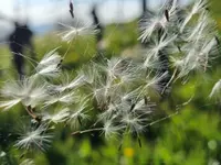 Praxis für Stressregulation & Psychologische Beratung