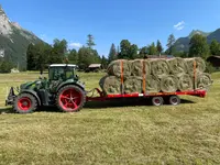 Rubin's Lohnarbeiten