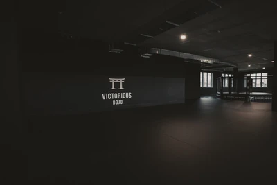 Victorious Dojo