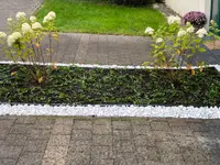 Lusogarten GmbH