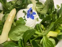 Restaurant/Gelateria Circolo Plankis