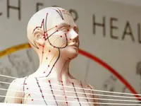 Institut für Kinesiologie Biel-Seeland, IKBS