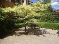 Vogel Gartenbau AG