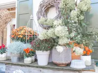Blumen Gardyland