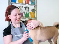 Hundesalon Trendy Dog