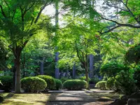 Neuhaus Stefan, Landschaftsgärtner/Paysagiste