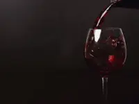 Vendanges, vins & spiritueux