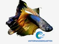 Unterwassergarten Tanner