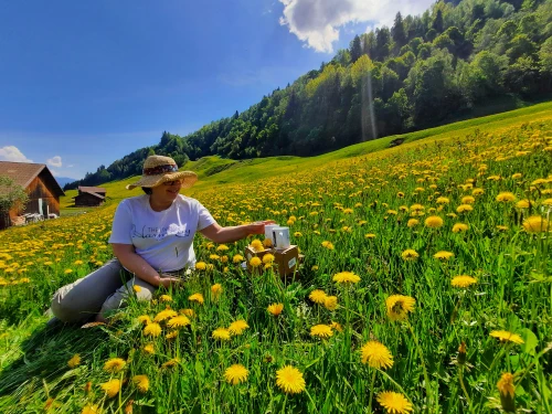 The Living Harmony by Manuela Ullram-Schmed - Klicken, um das Panorama Bild vergrössert darzustellen