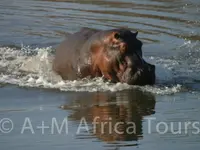 A + M Africa Tours GmbH