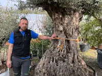 Buissonin Giardini