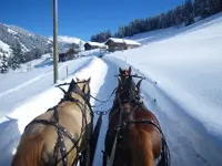 Kutscherei von Grünigen Johann - Klicken Sie, um das Bild 2 in einer Lightbox vergrössert darzustellen