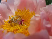 Strobel Uhren und Schmuck