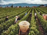 Domaine des Biolles