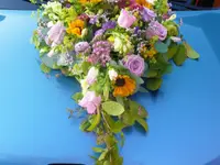 Blumen Vergissmeinnicht