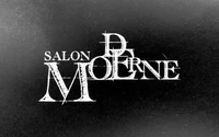 Salon Moderne Sàrl-Logo