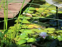 Blumen-Müller AG