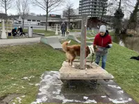 4happypets.ch, Inhaberin Schön