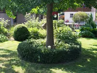 F & B Weibel Gartenbau Radelfingen - Klicken Sie, um das Bild 1 in einer Lightbox vergrössert darzustellen