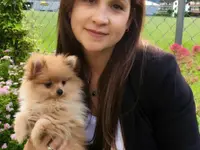 Patty's Hundesalon
