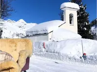 Clalüna-Sils Kutschenfahrten - Klicken Sie, um das Bild 4 in einer Lightbox vergrössert darzustellen