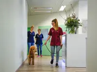 Tierklinik Rossweid - Klicken Sie, um das Bild 7 in einer Lightbox vergrössert darzustellen