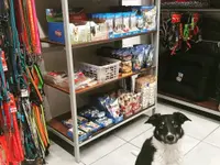 amico mio di Braga
