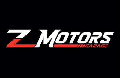 Z MOTORS SAGL