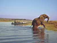 Le Goût du Voyage