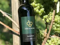Weingut Oberli & Oechsle