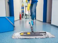 Lana-Rénovation SARL