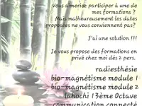 Kinepourtous Kinesiologie  et thérapies énergétique Tillmann Veronique