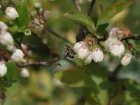 Gartenbau Steinmann