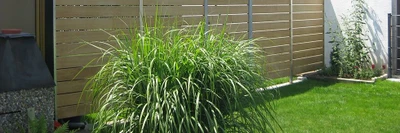 Garten Holzwand - Holzarbeit - Bison Gartenbau - Muttenz