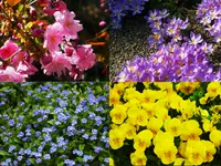 Bruderer Gartenbau AG