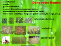 Quatre Saisons Sàrl