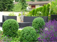 Beyeler Guido, Gartenpflege GmbH