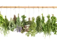 Grace Espace Santé et Bien-Etre