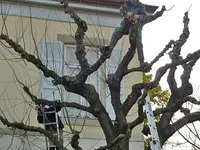 AV Jardin