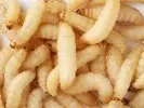 AKRIDA GmbH
