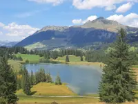 Rando Nature