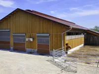 System Wolf AG