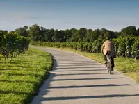 Domaine de la Côte d'Or